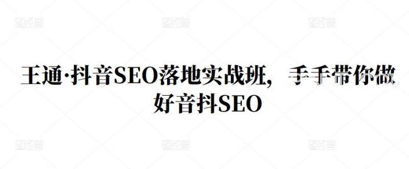 王通《抖音SEO落地实战班》