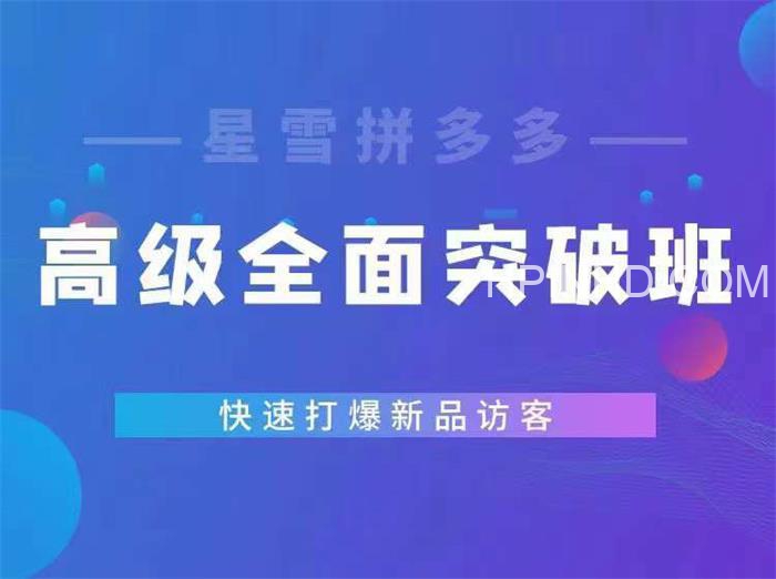 星雪教育《拼多多特训班》