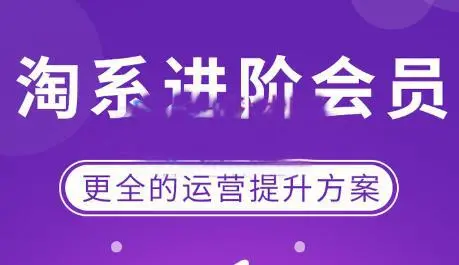 星雪教育《淘系运营与进阶课程》