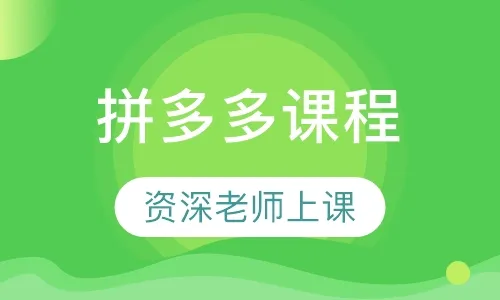 纪主任 拼多多课程