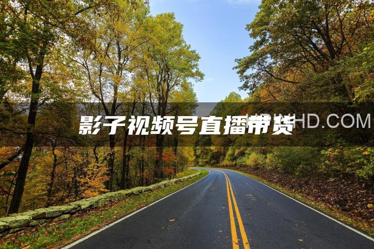 影子视频号带货
