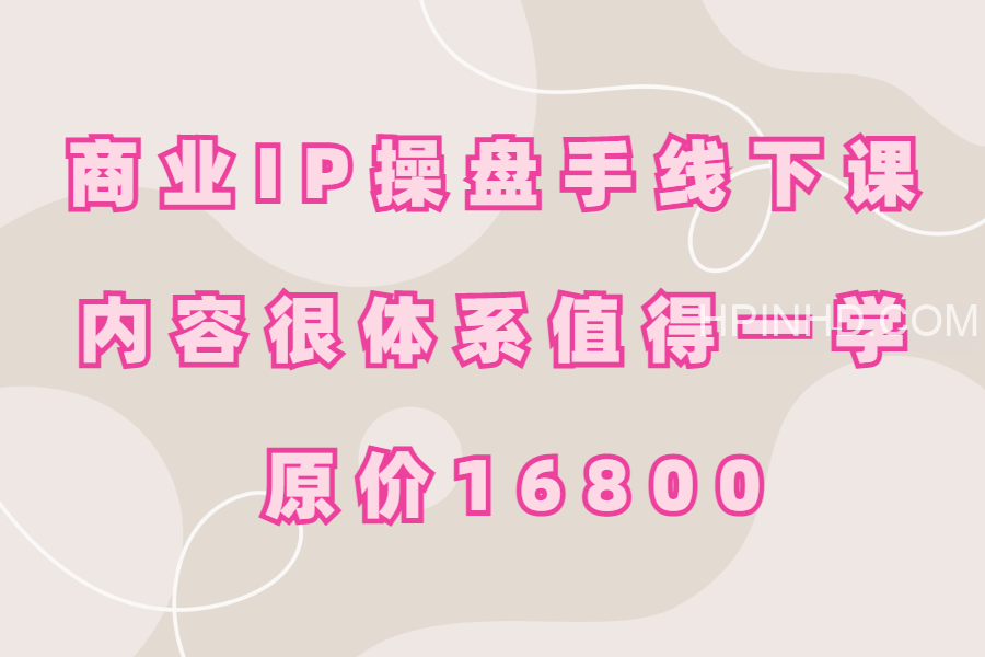 小伟商业IP操盘手线下课，内容很体系值得一学 原价16800