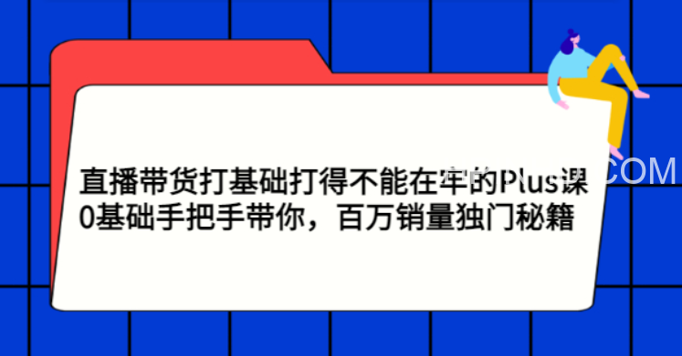大播汇《直播带货打基础打的不能再牢的plus课》