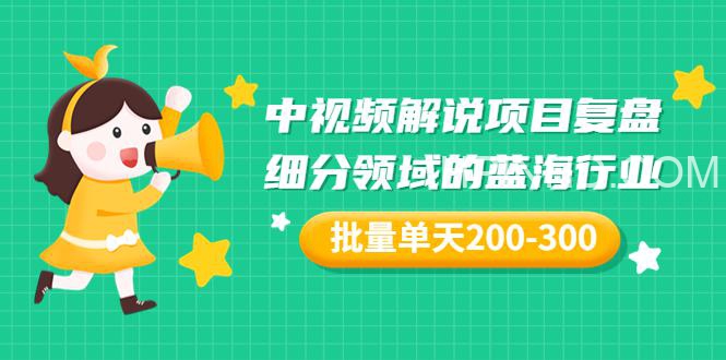 某付费文章「中视频解说项目复盘：细分领域的蓝海行业，批量单天200-300收益」