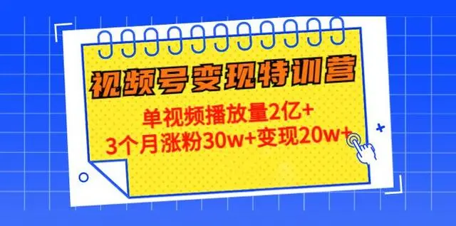 20天视频号变现特训营
