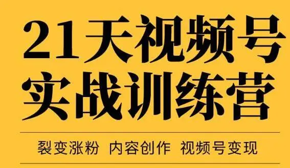 张萌《21天视频号实战训练营》