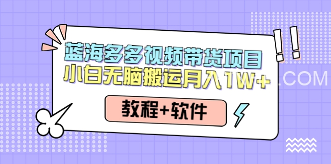 多多视频起店(蓝海项目) ，日出千单实战落地