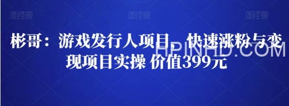 彬哥·游戏发行人项目