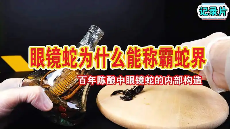眼镜蛇——纪录片解说课程