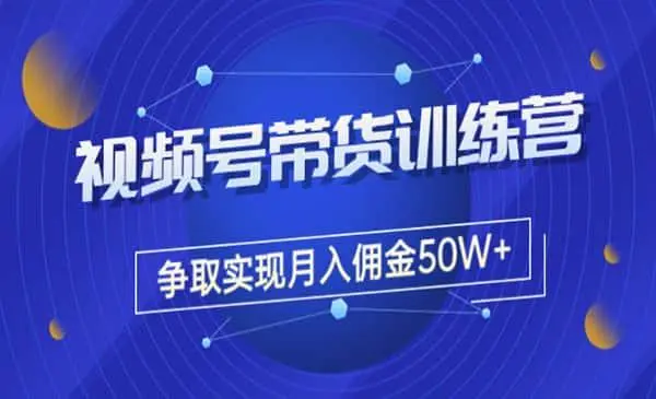 视频号带货训练营：从负债百万到月佣金50W+（价值4980元）