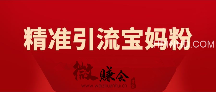 网赚微课堂的394期：引流精准宝妈粉渠道，日引流100+