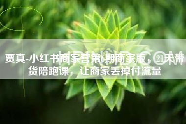 贾真【小红书商家营第6期】21天带货陪跑课