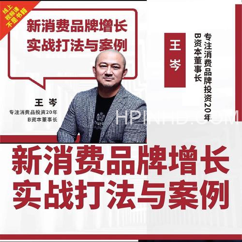 消费王王岑新消费品牌增长实战打法与案例高清视频