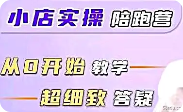 抖盟电商《达人带货模式陪跑课》