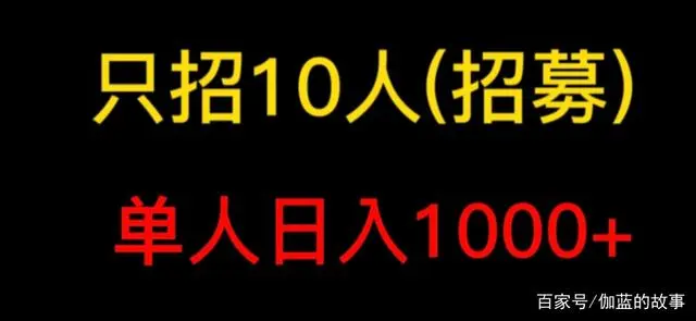 懒人领域《头条项目玩法教学》