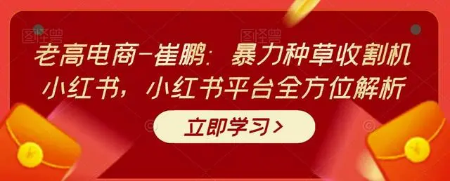老高电商-崔鹏：暴力种草收割机小红书