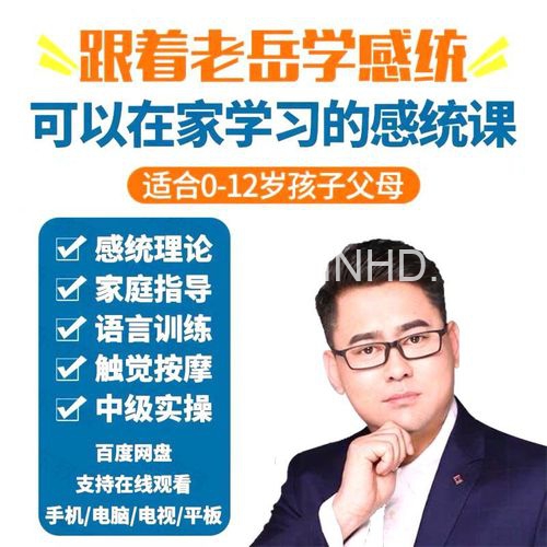 老岳讲感统全套