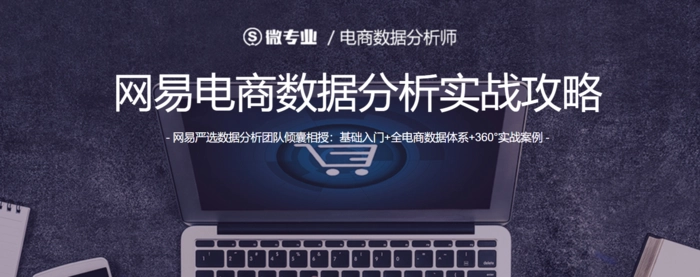 微专业 电商数据分析师（完结）