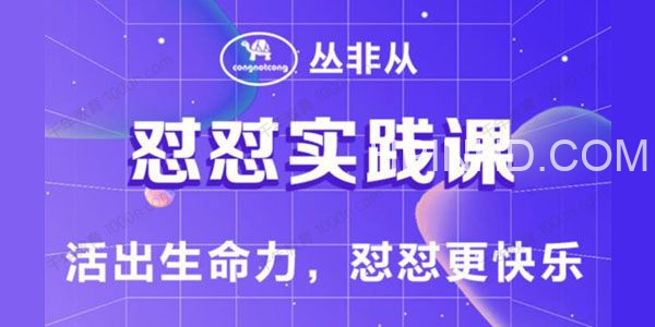 丛非从《怼怼实践课》