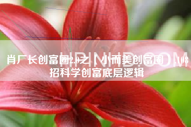 肖厂长《小而美创富圈》