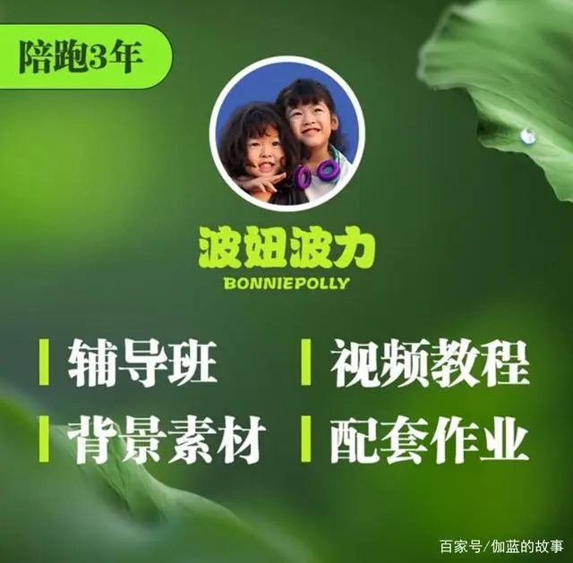 波妞波力《视频制作辅导班》