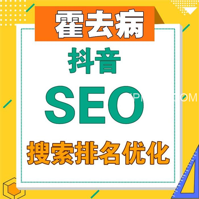 霍去病《抖音SEO搜索排名优化》