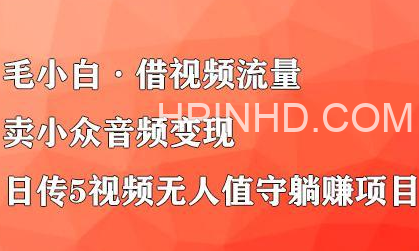 毛小白《借视频流量，卖小众音频变现》