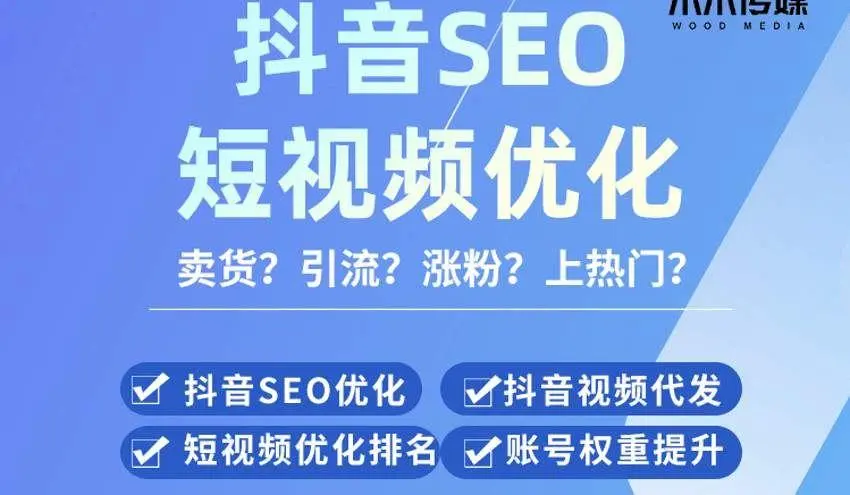 言若非·抖音Seo搜索置顶优化
