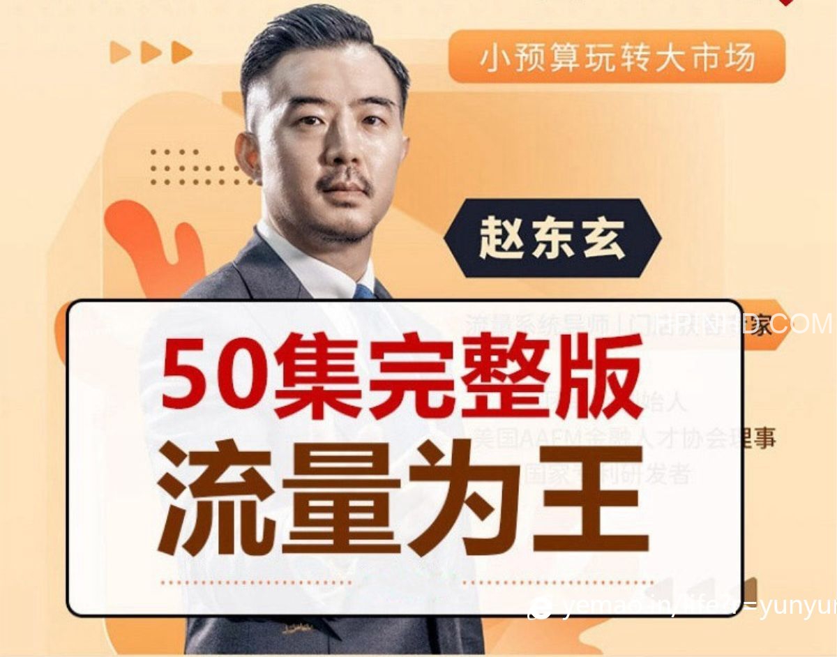 赵东玄《流量为王》