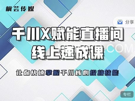 枫芸传媒《线上千川提升课》