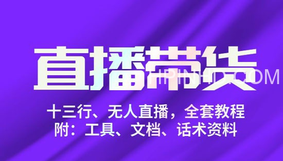 十三行左小姐·无人直播带货俱乐部等多个文件
