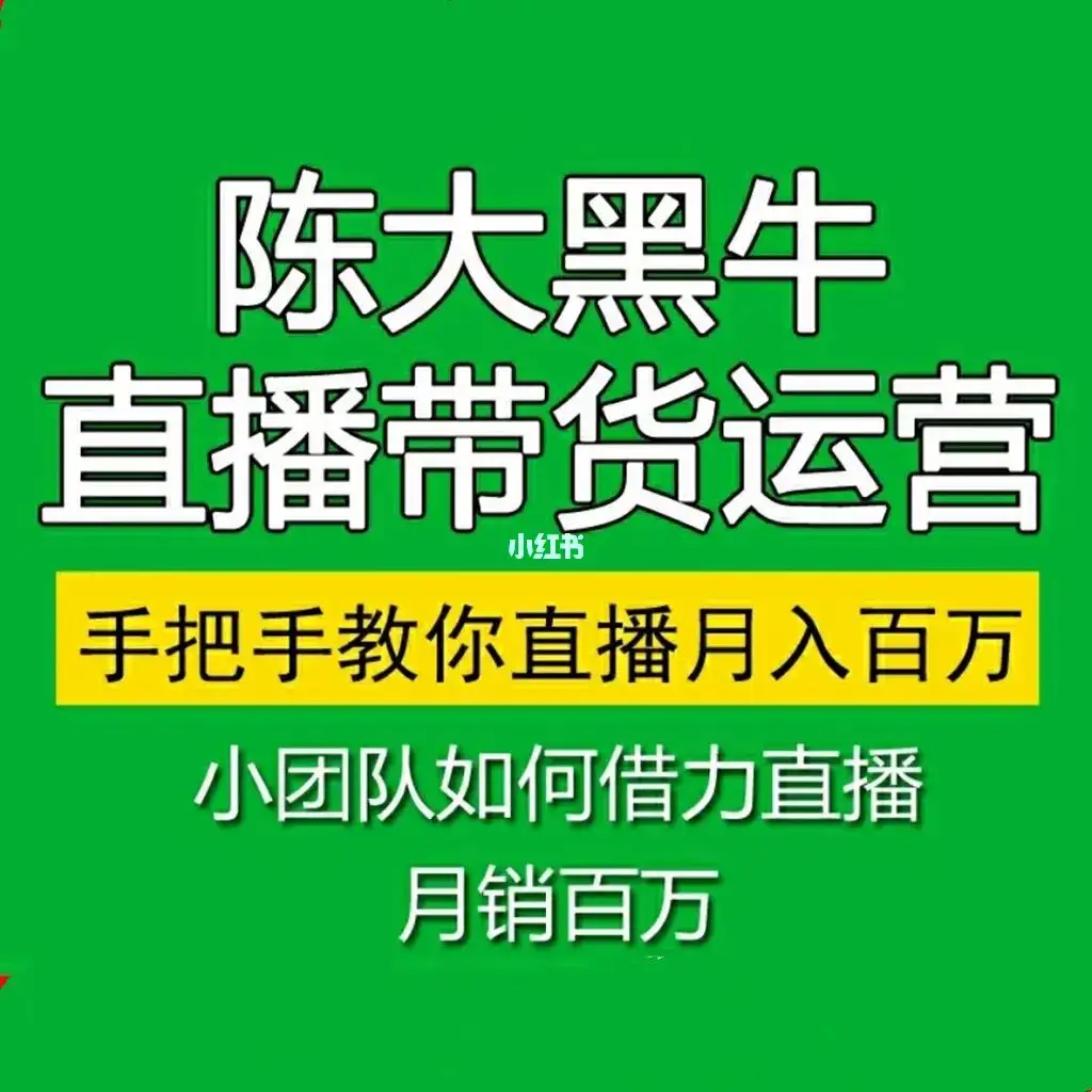 陈大黑牛·直播运营入门课