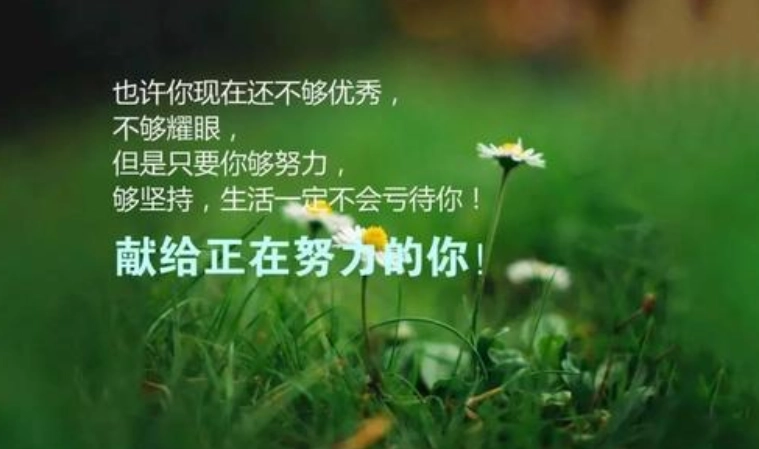 励志语录卡点课程