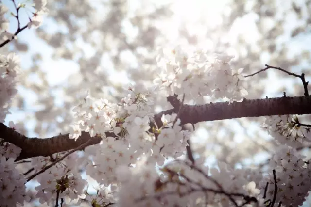 说说我的创业故事（3）