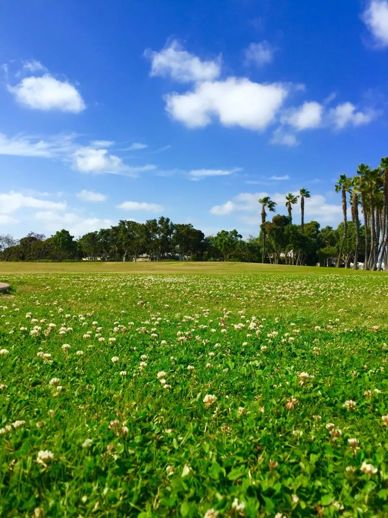 世界的光—关于信仰